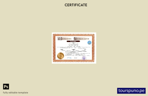 listo para imprimir certificado de matrimonio de Malí Plantilla en Word y PDF