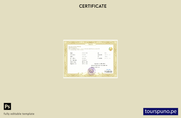 listo para imprimir certificado de matrimonio de Tayikistán Plantilla en Word y