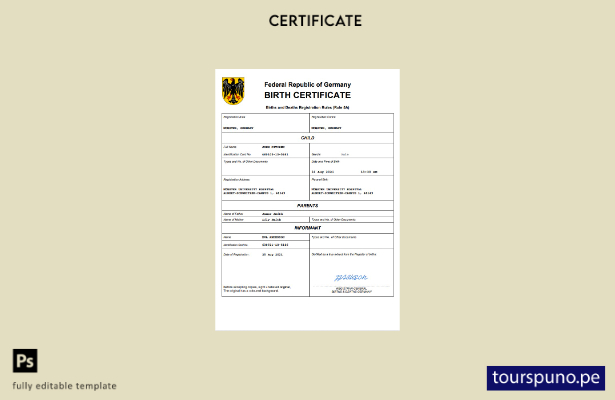 listo para imprimir certificado de nacimiento de Alemania Plantilla en Word y PD