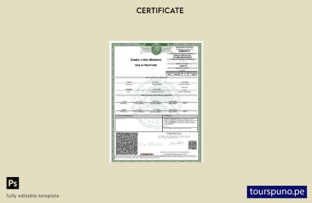 listo para imprimir certificado de nacimiento de México Plantilla Word y PDF, ve
