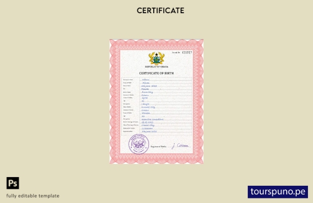 listo para imprimir la plantilla PSD del certificado de nacimiento del registr 2