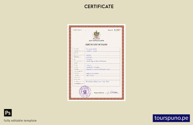 listo para imprimir plantilla PSD de certificado de defunción de Saint Kitts y N