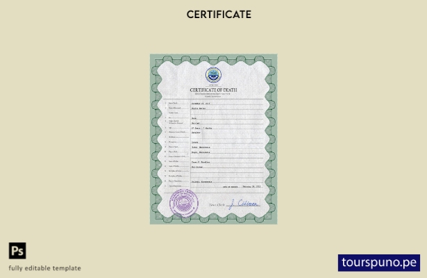 listo para imprimir plantilla PSD de certificado de defunción de registro vital