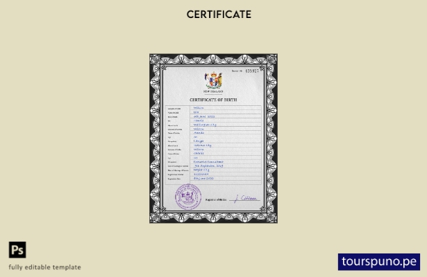 listo para imprimir plantilla PSD de certificado de nacimiento de Nueva Zelanda