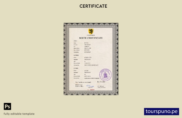listo para imprimir plantilla PSD de certificado de nacimiento de registro ci 11