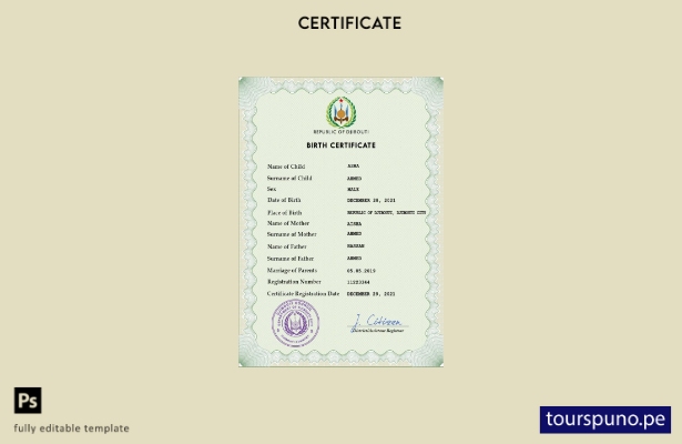 listo para imprimir plantilla PSD de certificado de nacimiento de registro ci 18
