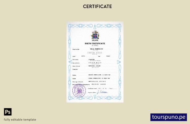 listo para imprimir plantilla PSD de certificado de nacimiento de registro ci 28