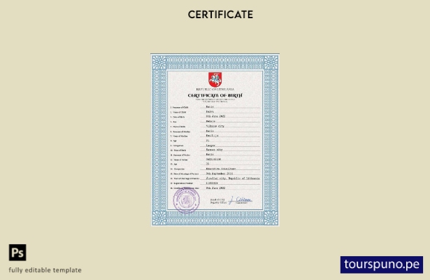 listo para imprimir plantilla PSD de certificado de nacimiento de registro ci 35