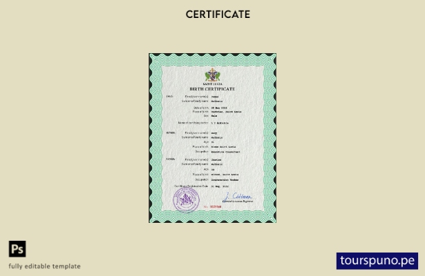 listo para imprimir plantilla PSD de certificado de nacimiento de registro ci 50