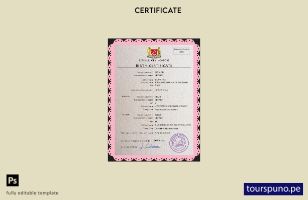 listo para imprimir plantilla PSD de certificado de nacimiento de registro ci 53
