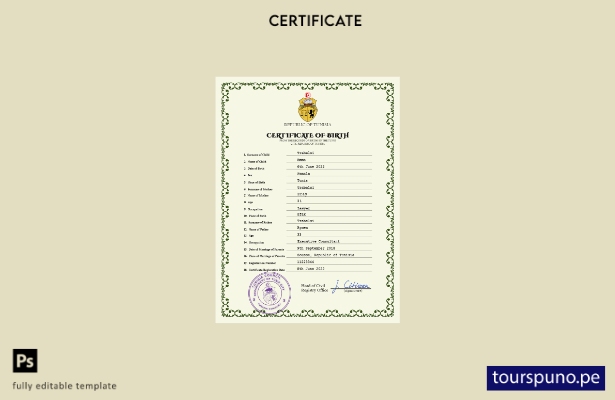 listo para imprimir plantilla PSD de certificado de nacimiento de registro ci 59