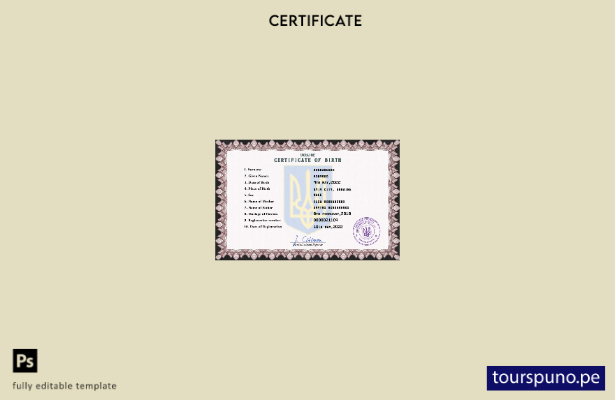 listo para imprimir plantilla PSD de certificado de nacimiento de registro ci 60