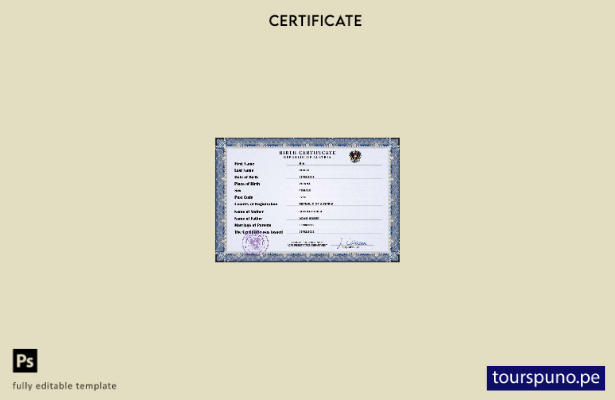 listo para imprimir plantilla PSD de certificado de nacimiento de registro civ 2