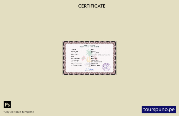 listo para imprimir plantilla PSD de certificado de nacimiento de registro vi 23