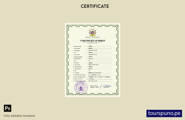 listo para imprimir plantilla PSD de certificado de nacimiento de registro vi 26