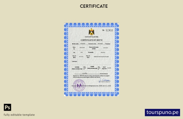 listo para imprimir plantilla PSD de certificado de nacimiento de registro vi 29