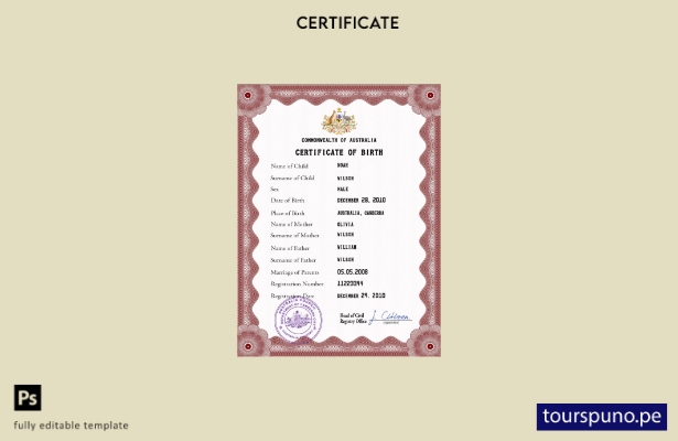 listo para imprimir plantilla PSD de certificado de nacimiento de registro vit 1