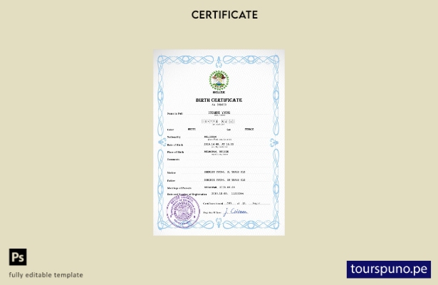 listo para imprimir plantilla PSD de certificado de nacimiento de registro vit 4