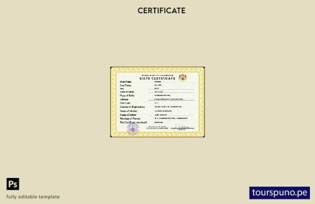 listo para imprimir plantilla PSD de certificado de nacimiento del registro ci 6