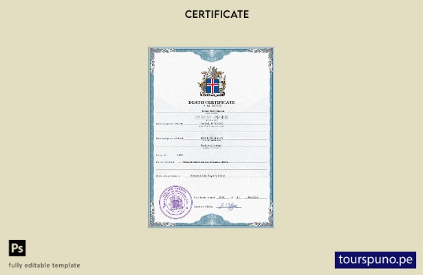 listo para imprimir plantilla PSD del certificado de defunción del registro c 37