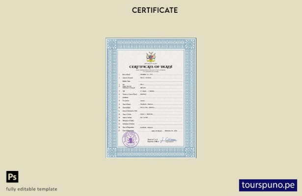 listo para imprimir plantilla PSD del certificado de defunción del registro c 60