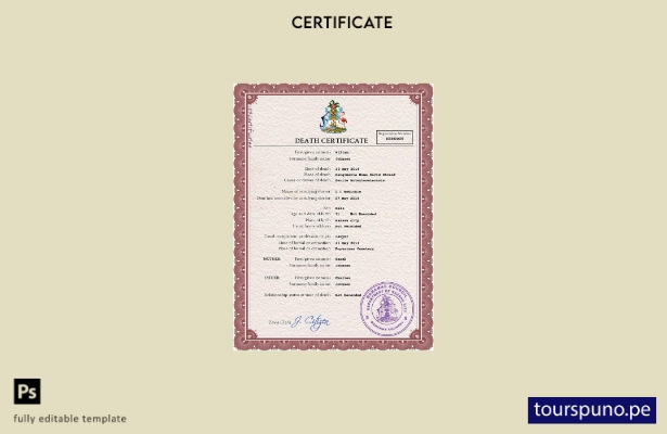 listo para imprimir plantilla PSD del certificado de defunción del registro ci 5