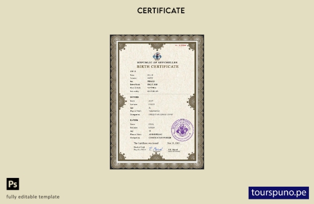 listo para imprimir plantilla PSD del certificado de nacimiento del registro  10