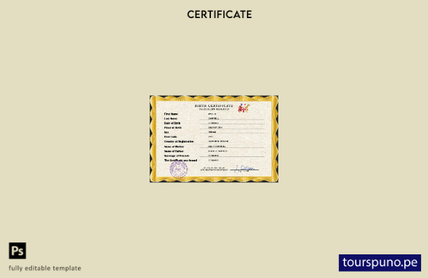 listo para imprimir plantilla PSD del certificado de nacimiento del registro c 6