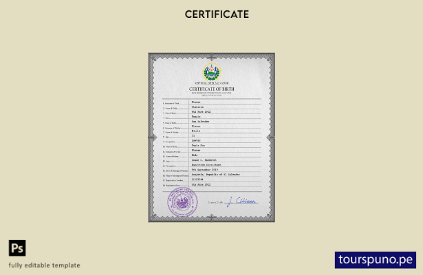 listo para imprimir plantilla PSD del certificado de nacimiento del registro c 8