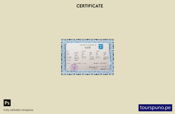 listo para imprimir plantilla PSD del certificado de nacimiento del registro vit