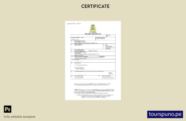 listo para imprimir plantilla de Word y PDF del certificado de defunción de Esto