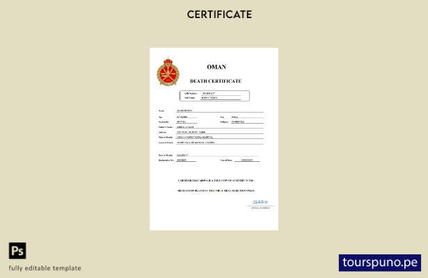 listo para imprimir plantilla de Word y PDF del certificado de defunción del  12