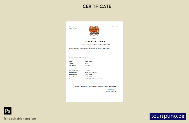 listo para imprimir plantilla de Word y PDF del certificado de defunción del  13