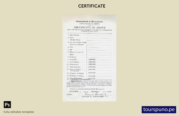 listo para imprimir plantilla de certificado de defunción de la Commonwealth de