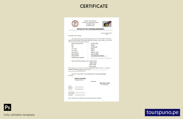 listo para imprimir plantilla de certificado de defunción de la oficina de Punon