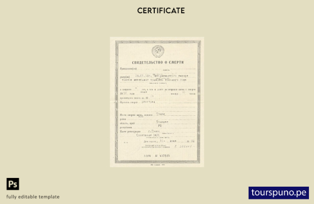 listo para imprimir plantilla de certificado de defunción de la oficina de reg 1