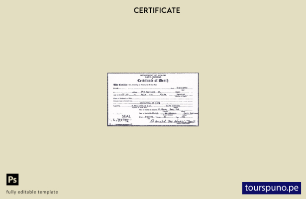 listo para imprimir plantilla de certificado de defunción del Departamento de  4