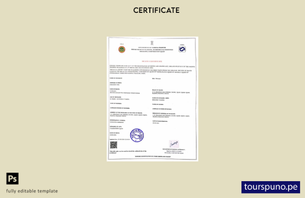 listo para imprimir plantilla de certificado de defunción del Gobierno de Madhya