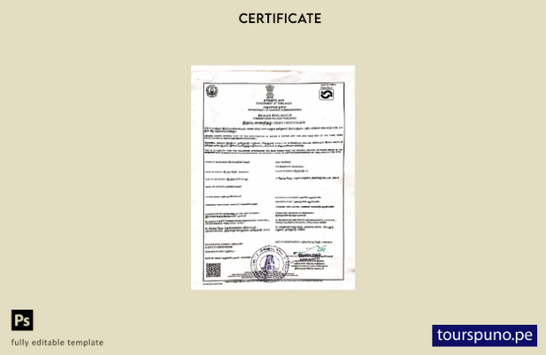 listo para imprimir plantilla de certificado de defunción del Gobierno de Tamil