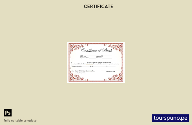 listo para imprimir plantilla de certificado de nacimiento del Registro de Nacim