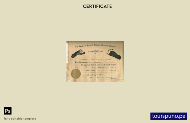 listo para imprimir plantilla de certificado de nacimiento del hospital Cyril y