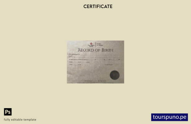listo para imprimir plantilla de certificado de nacimiento del hospital infantil