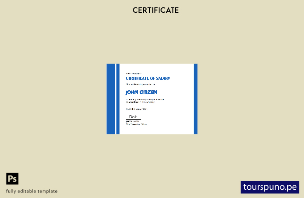 listo para imprimir plantilla de certificado de salario de EE. UU.