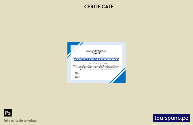 listo para imprimir plantilla de versión del certificado de experiencia laboral