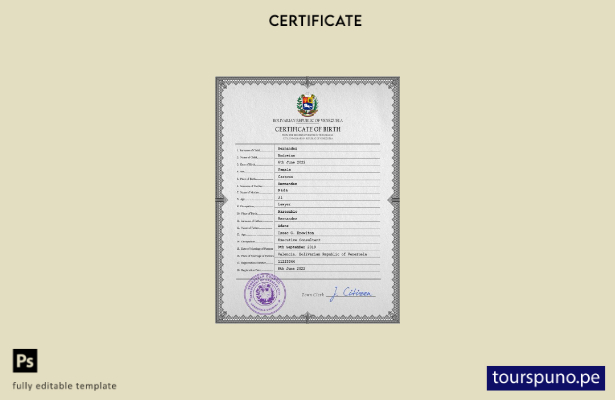 plantilla de certificado de nacimiento de Venezuela lista para imprimir