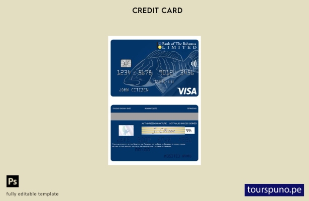 listo para imprimir Plantilla de tarjeta Visa prepaga en dólares estadounidenses