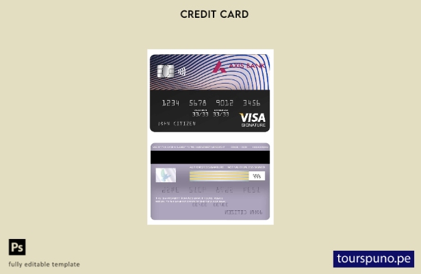 listo para imprimir plantilla de tarjeta de firma de visa de banco India Axis