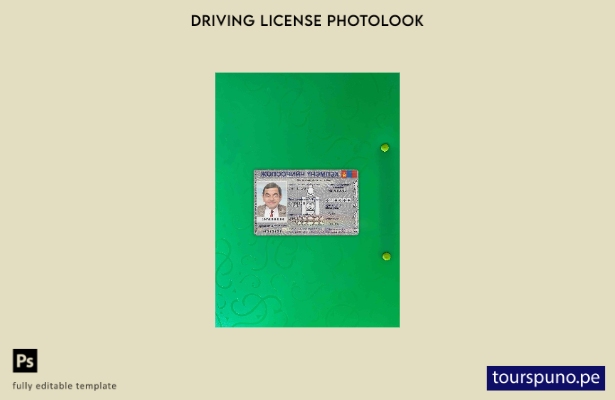 Plantilla FRONTAL de aspecto fotográfico DL de Mongolia lista para imprimir