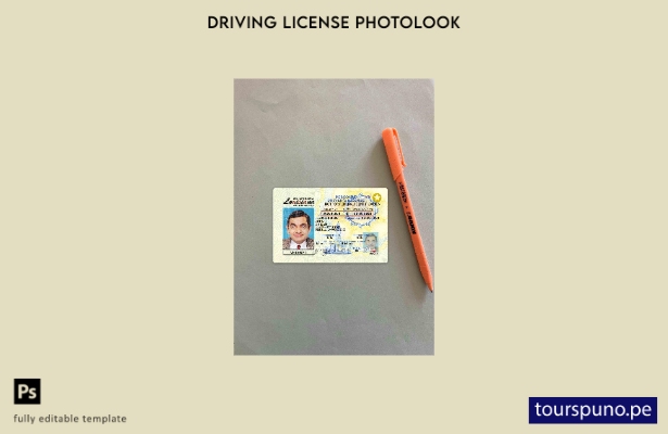Plantilla FRONTAL lista para imprimir USA Louisiana DL photolook