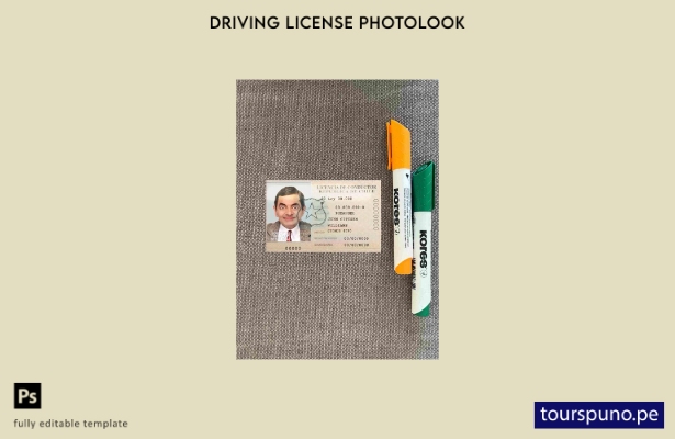 listo para imprimir Chile licencia de conductor photolook plantilla FRONTAL